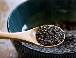 Chia Seed Bantu Pencernaan, Atasi BAB dan Sembelit